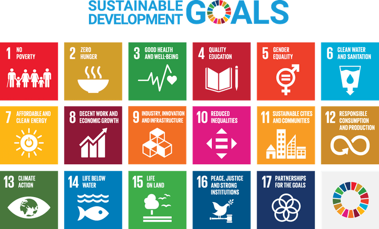 Sustainable development goals icons